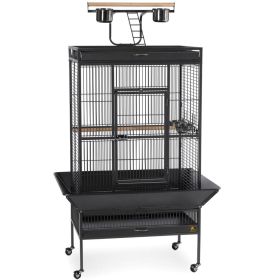 Large Select Wrought Iron Play Top Bird Cage (Option: Sage Green)